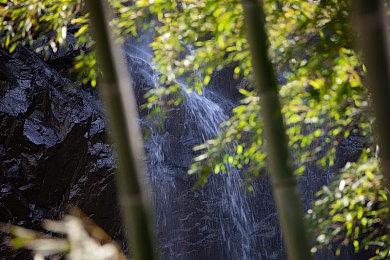 《极限竞速：地平线5》新春杯名爵分站赛激情开赛！快来驾驶名爵Cyberster赛出速度！