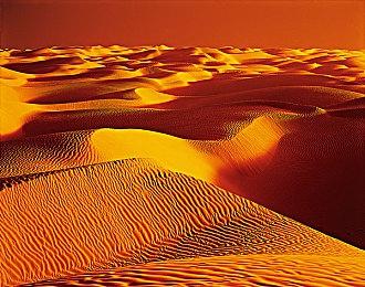 《生化危机4：重制版》D加密惹争议 又导致性能问题了